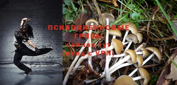 бутират Алексин