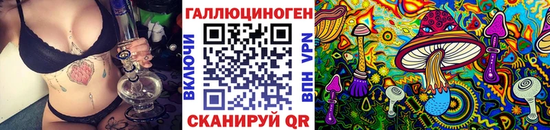 Псилоцибиновые грибы Psilocybe  Купить закладки  Алейск 